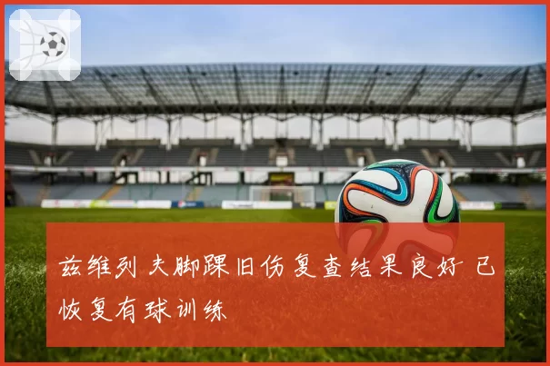 兹维列夫脚踝旧伤复查结果良好 已恢复有球训练