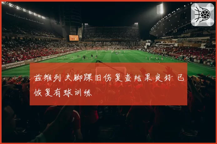 兹维列夫脚踝旧伤复查结果良好 已恢复有球训练